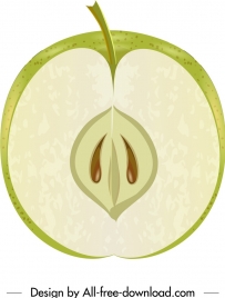 apple fruit background closeup vertical cut sketch