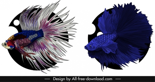 aqua fish icons elegant gaudy colored design