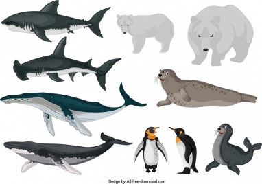 arctical animals icons fishes bears penguin seal sketch