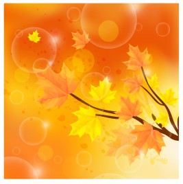 autumn color with tree branch and leaf background