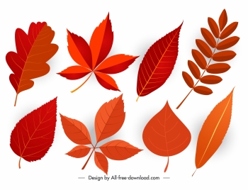 autumn leaf icons modern flat colored shapes sketch