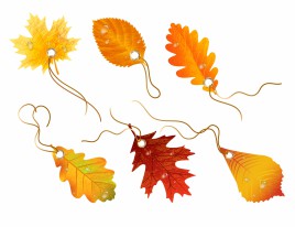 Autumnal discount. Vector fall leaves