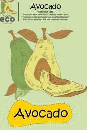 avocado advertisement colored retro sketch