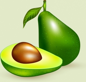 avocado advertising shiny green icon decoration