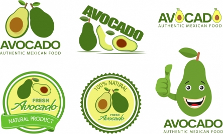 avocado logotypes various green shapes isolation