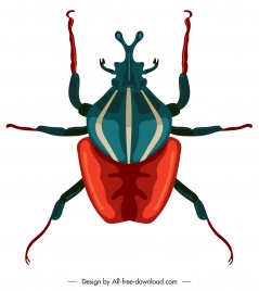 beetle insect icon colored closeup symmetric design