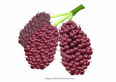 berries fruit icon shiny colored design luxuriant sketch