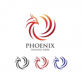 best phoenix logo concept