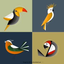 bird background parrot sparrow icons colorful classical design