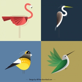 bird background templates colored flat classical design