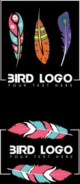 bird feathers logo sets colorful flat icons decor