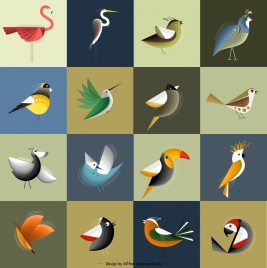 bird icons collection colorful classical design squares isolation