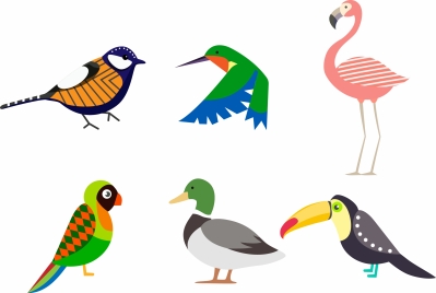 birds collection isolated with various types