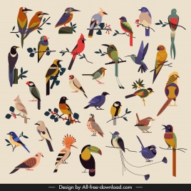 birds species icons collection colorful classical sketch