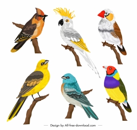 birds species icons colorful cartoon sketch