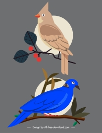 birds species icons red whiskered dove sketch