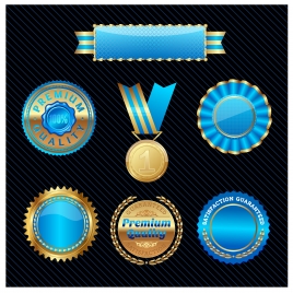 blue glossy badge medal