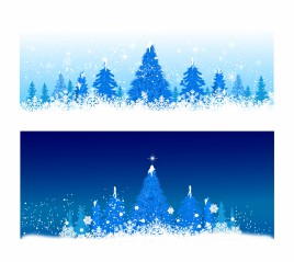 Blue winter Christmas trees