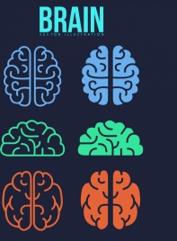 brain icons collection colored flat shapes