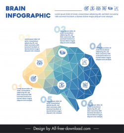 brain infographic design element geometric lowpoly