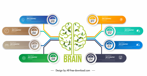 brain infographic template colorful flat modern symmetry
