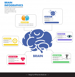 brain infographic template flat ui symbols
