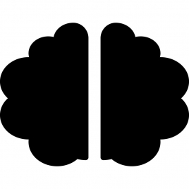 brain sign icon flat symmetric silhouette outline