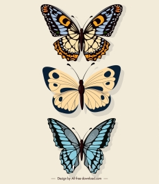 butterflies decor elements flat colored symmetrical design