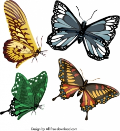butterflies icons templates colorful modern shapes sketch