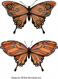 butterfly icons modern brown sketch