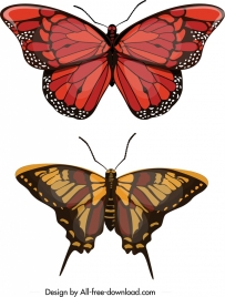 butterfly icons red brown decor modern design