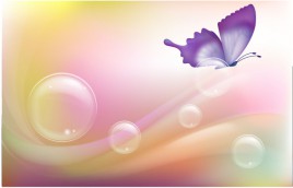 Butterfly in the bubble background