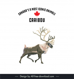 canadian 9 most iconic animals design elements caribou animal sketch
