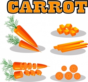 carrot decorative icons 3d orange design