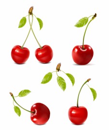 Cherries with water drops