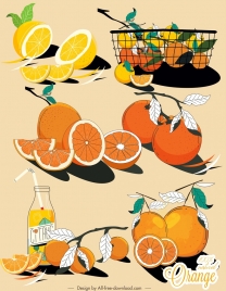 citrus fruits icons colored classical handdrawn design