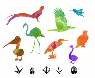 colorful silhouettes vector illustration of birds
