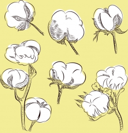 cotton flowers background hand drawn outline