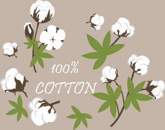 cotton product advertising flowers icons decoration