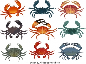 crab icons collection multicolored design