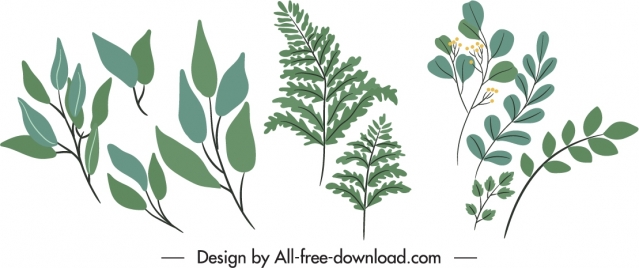decorative nature elements classic leaves branches sketch