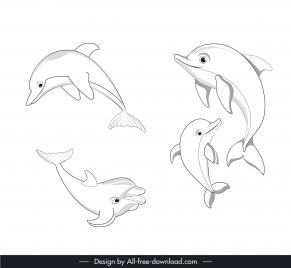 dolphin swimming deisng elements collection black white handdrawn  outline