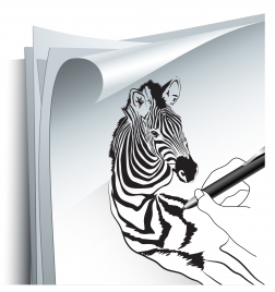 drawing zebra
