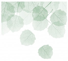 dry leaf background