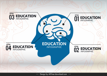 education infographic template head brain sketch flat design