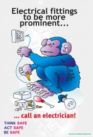Electrical Fittings awareness Poster