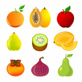 Exotic fruit icon set