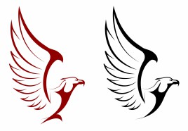 Falcon and eagle mascots