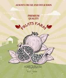 farm fruit banner pomegranate icon retro design