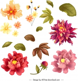 flower design elements colorful petals leaf icons